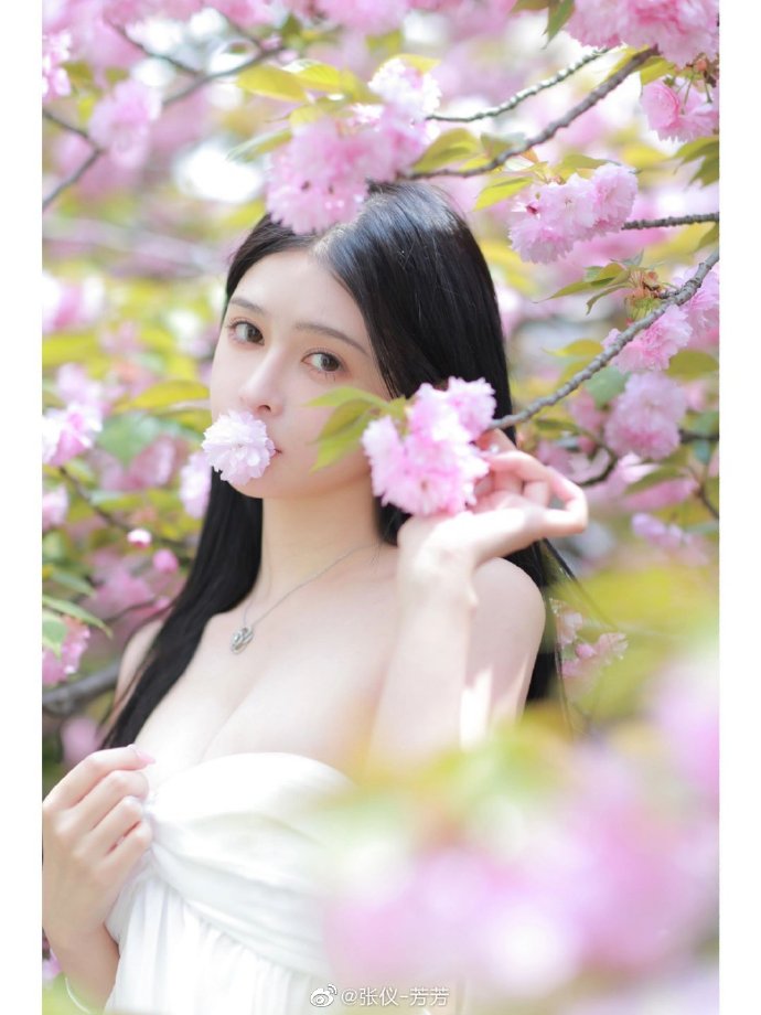 阿甘正传 封面